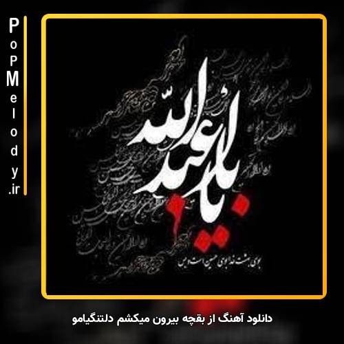 دانلود آهنگ محسن چاوشی از بقچه بیرون میکشم دلتنگیامو